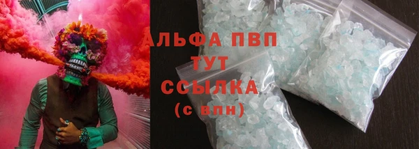 шишки Беломорск