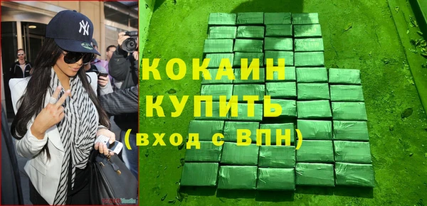 шишки Беломорск
