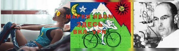 шишки Беломорск