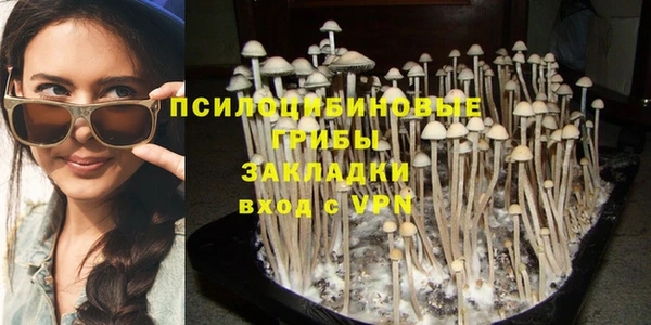 шишки Беломорск