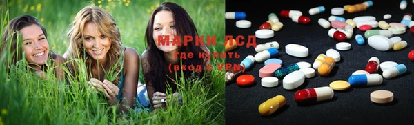 шишки Беломорск