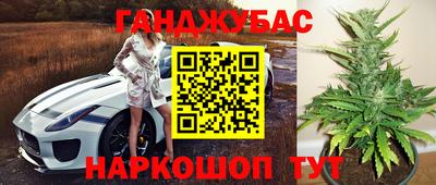 спиды Бийск