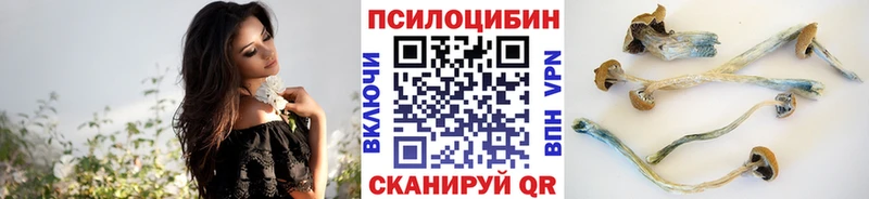 где купить наркотик  blacksprut сайт  Псилоцибиновые грибы Psilocybine cubensis  Гулькевичи 