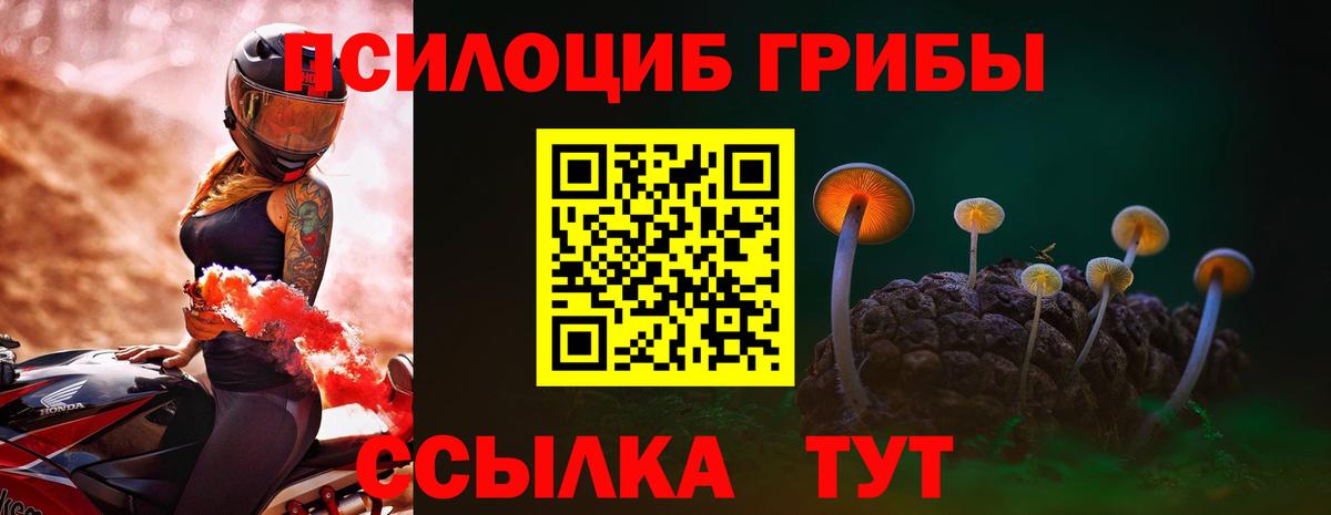 Гулькевичи  Псилоцибиновые грибы Magic Shrooms  Вход с VPN 